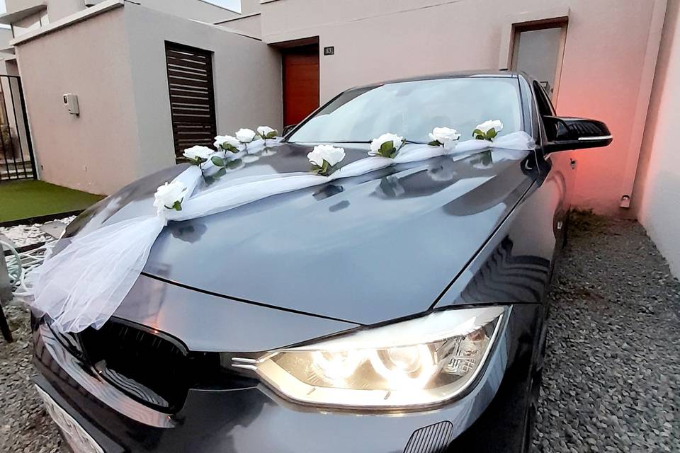 Novios Alta Gama, Autos