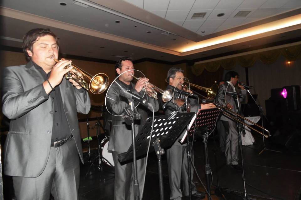 Nueva Universo, Música