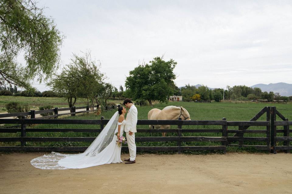 Odjfell Vineyards, Centros de Eventos