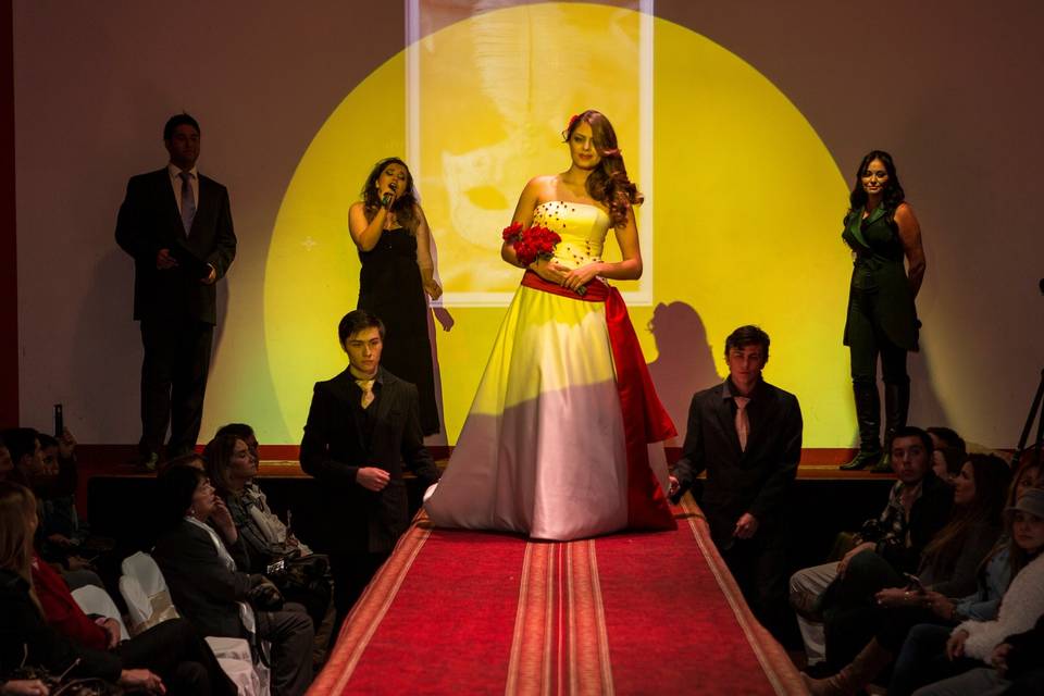 Ole Olé Novias, Tiendas de Novia
