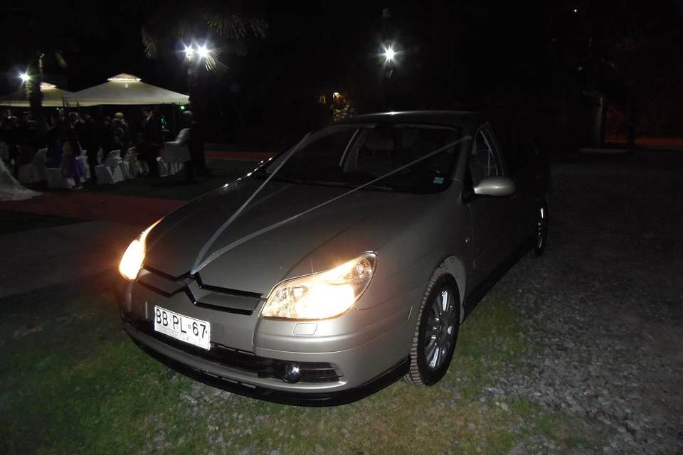 Osvaldo Lobos Automóviles, Autos