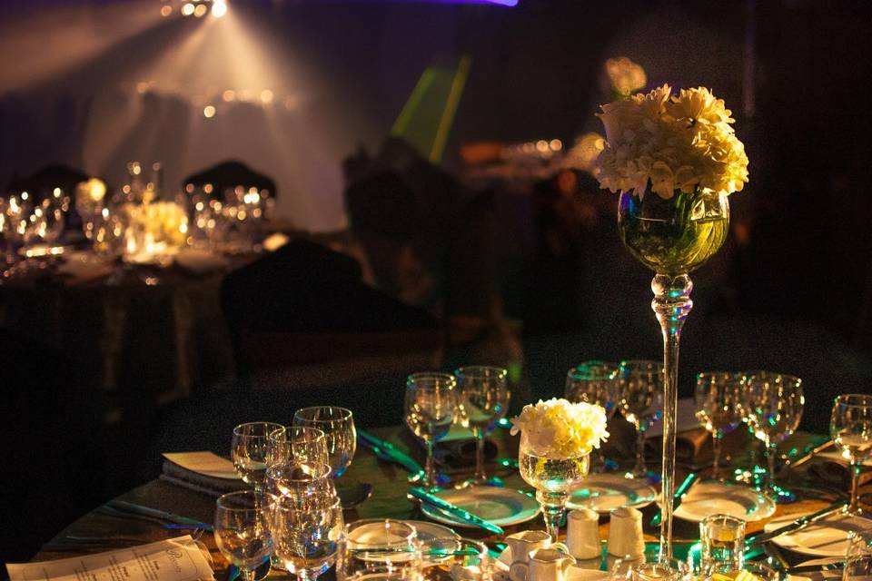 Park Plaza Santiago, Centros de Eventos