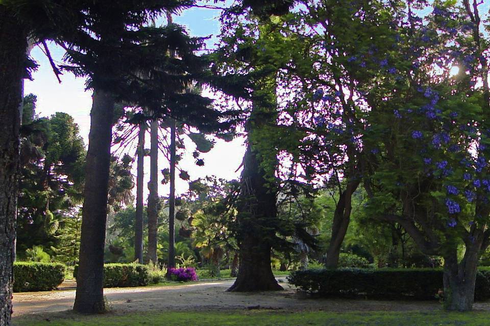 Parque Hacienda Catapilco, Centros de Eventos