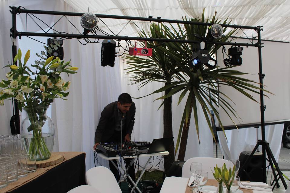 PartyFun, Música