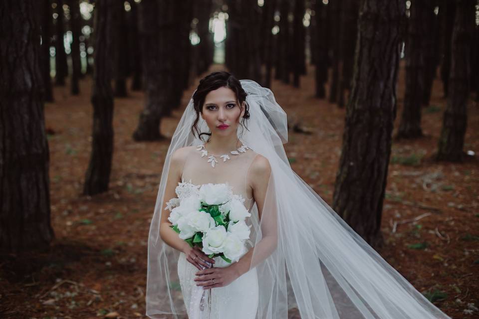 Paz Villarroel Fotografías, Fotógrafos