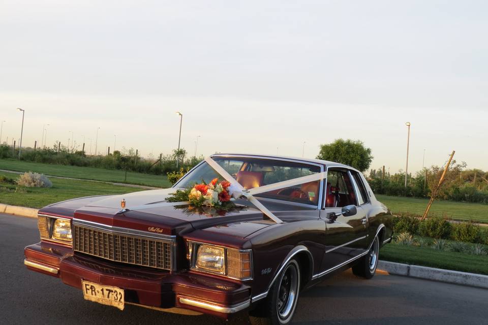 Pedraza Clásicos, Autos