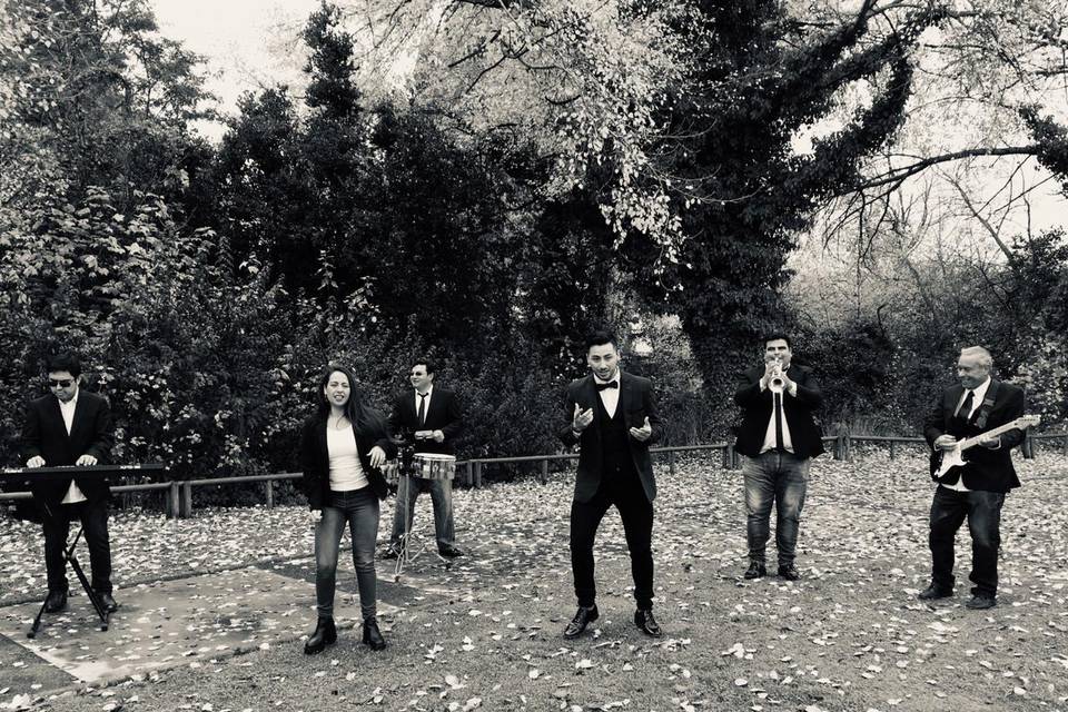 Play Producciones, Música
