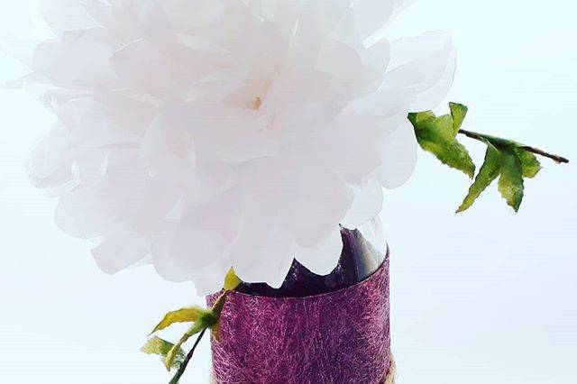 Pompones Y Mas, Decoración