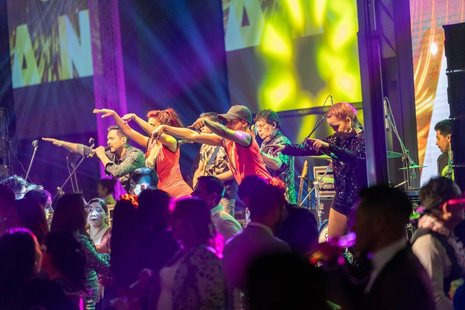 Pop Band, Música