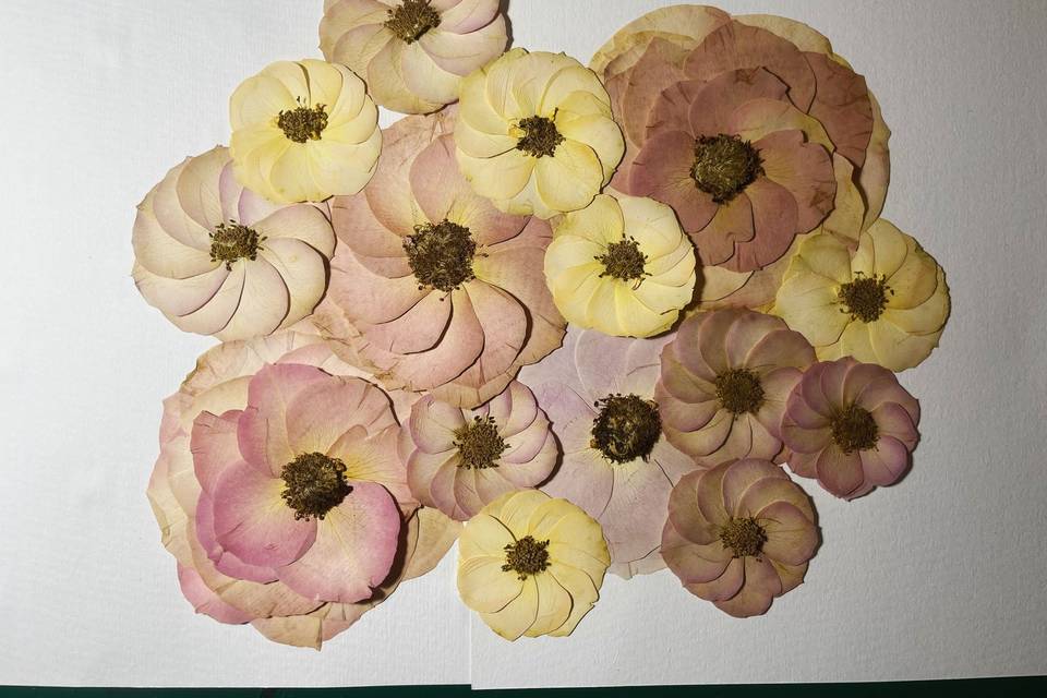 Prensado Arte Flor, Recuerdos