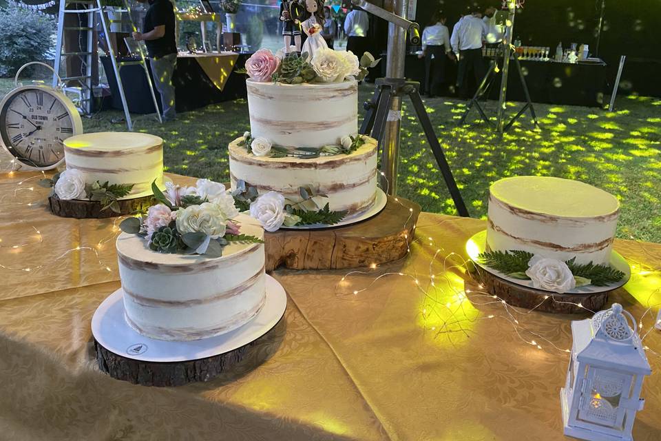 ProCake, Tortas