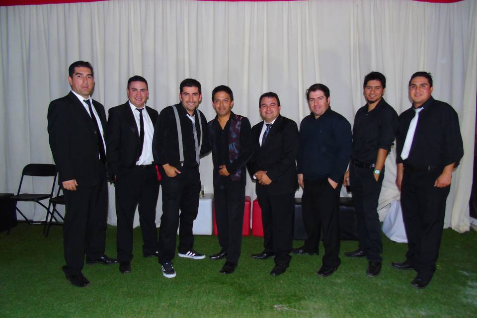 Producciones Audio Sur, Música