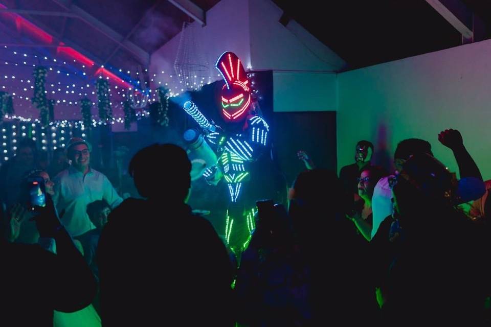 Producciones ZyL, Animación
