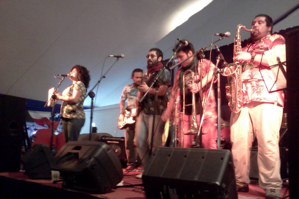 Productora Sector 311, Música