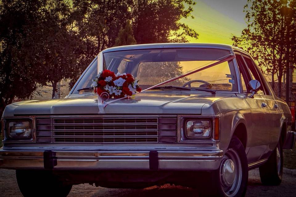 P&W Vehículo Clásico para Eventos, Autos