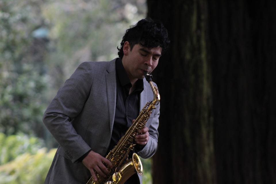 Ramón Higueras, Música