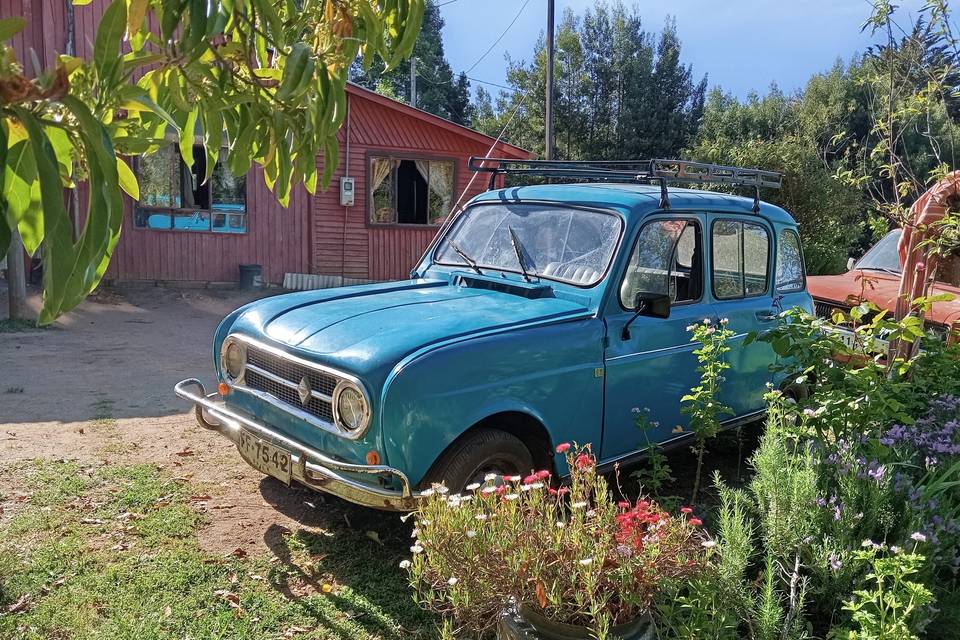Renoleta, Autos