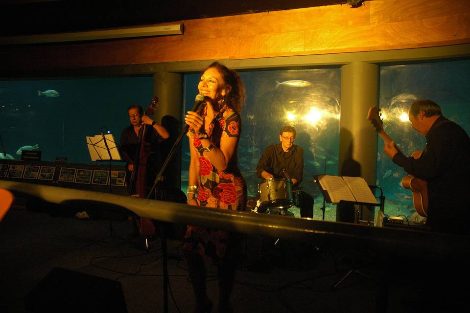 Rita Góngora y su conjunto, Música