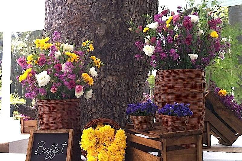 Rosas & Eventos