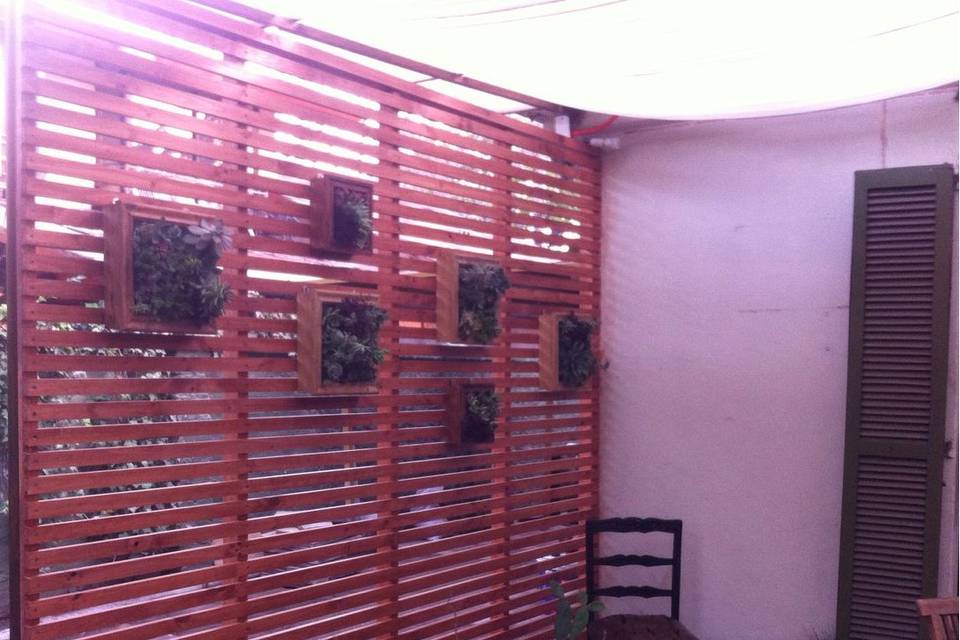 Roseta Suculentas, Recuerdos