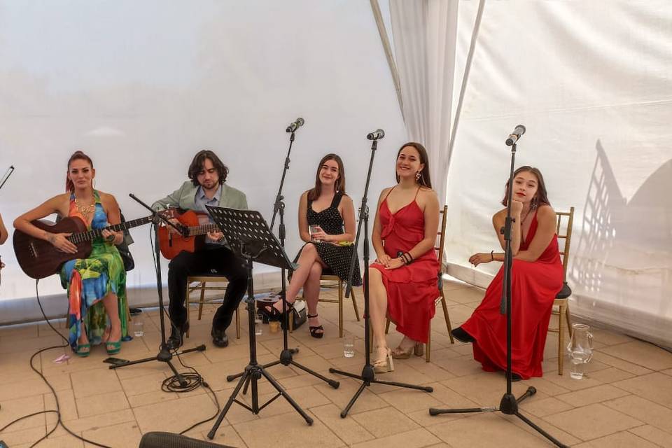 Savka Pichara Eventos, Música