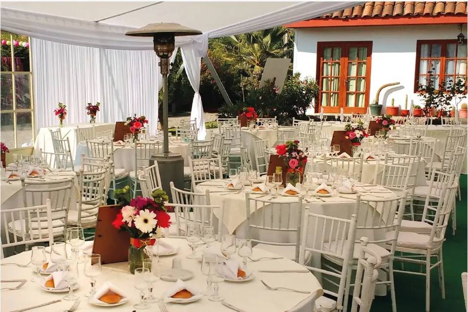 Sergio Vega, Decoración