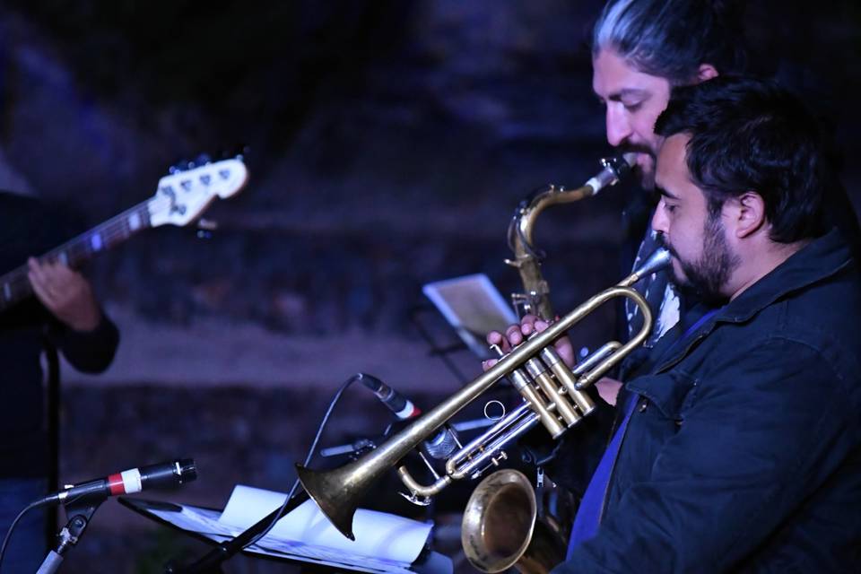 Servicios Hidalgo, Música