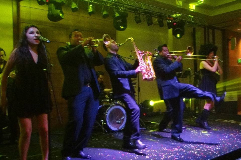 Showbiz, Animación