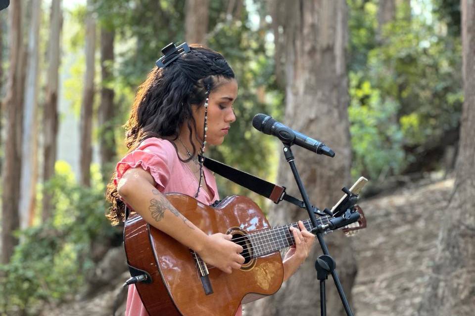 Simone, Música