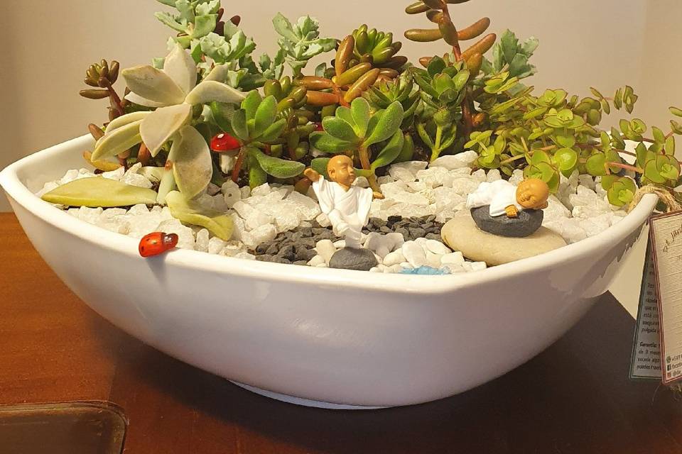 Suculentas y Cactus De Jardines y Hadas, Recuerdos