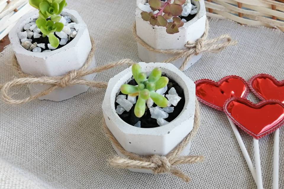 Suculentas y Cactus Hina, Recuerdos