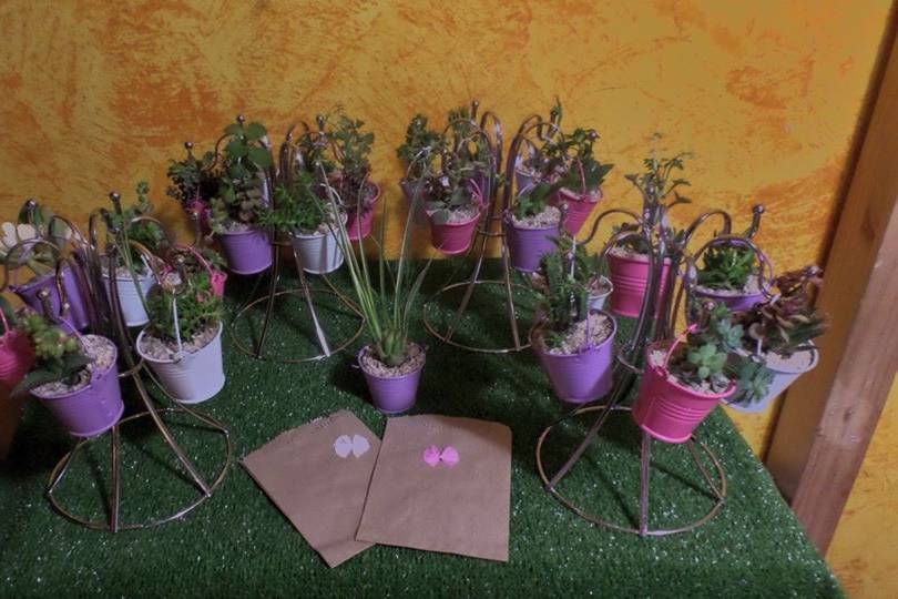 Tete Cactus y Suculentas