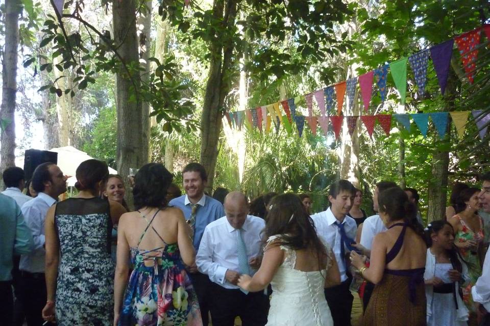 Todos Bailan, Música