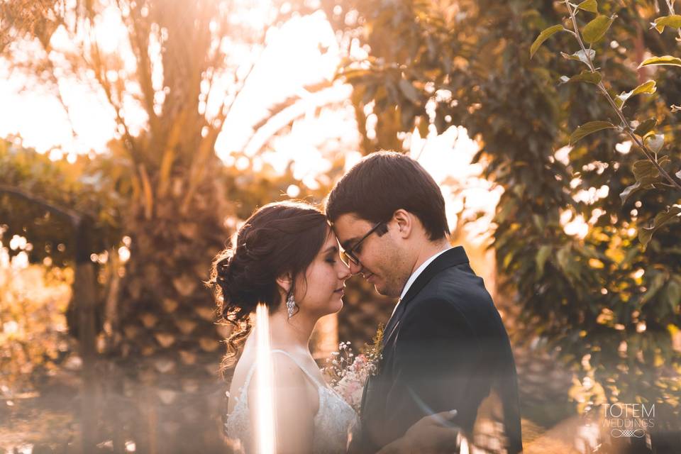 Totem Weddings, Fotógrafos
