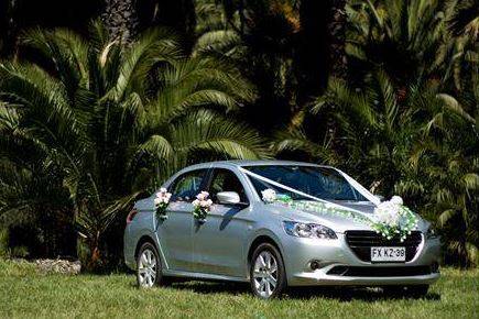 Transportes Andes