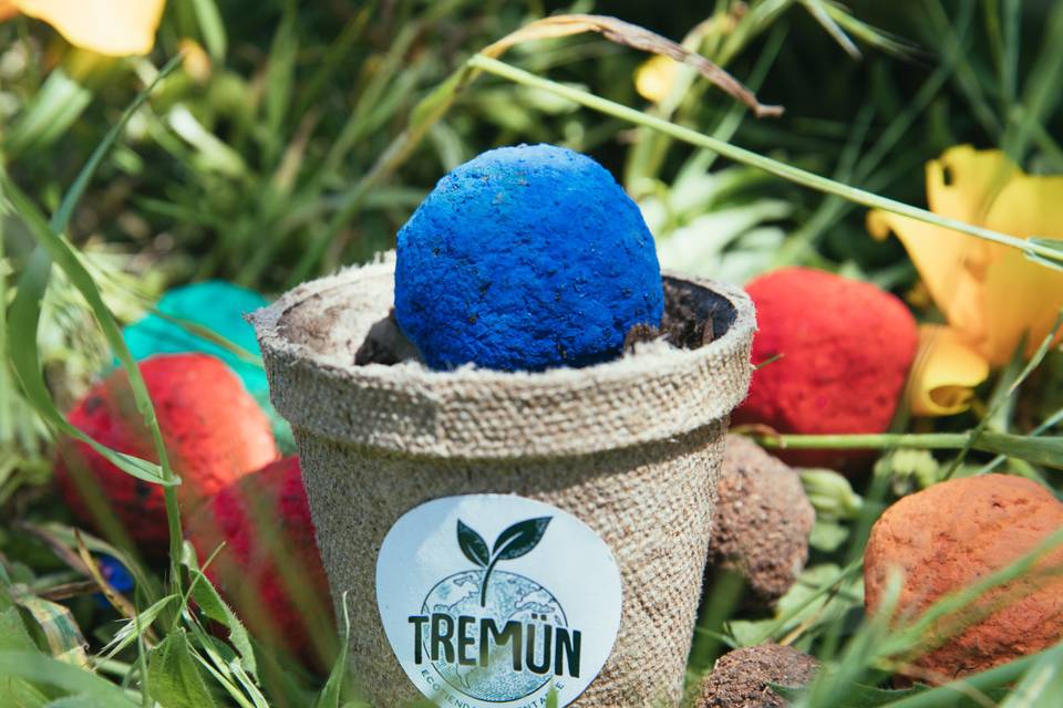 Tremun Chile, Recuerdos