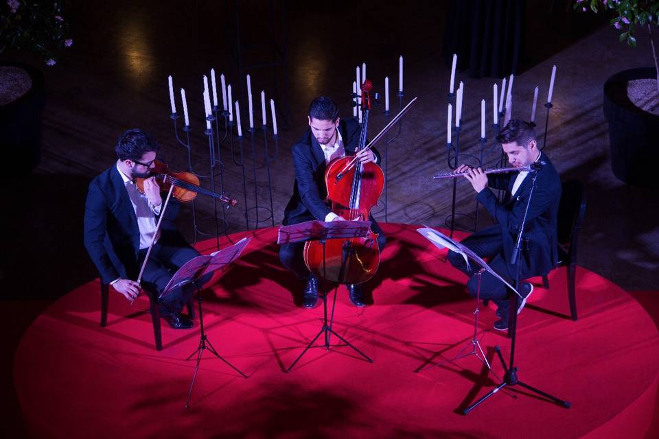 Trio Faure, Música