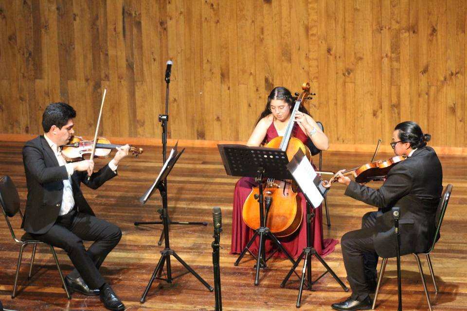 Trío Fermata, Música