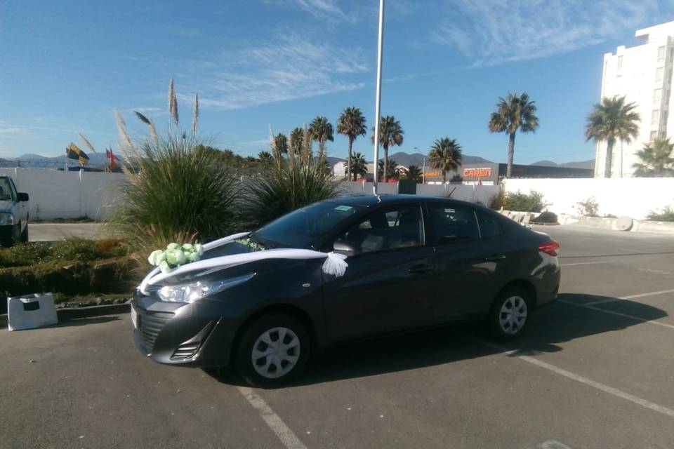 Velásquez Novios Deluxe, Autos