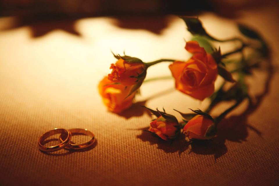 Videos de Matrimonio, Videógrafos