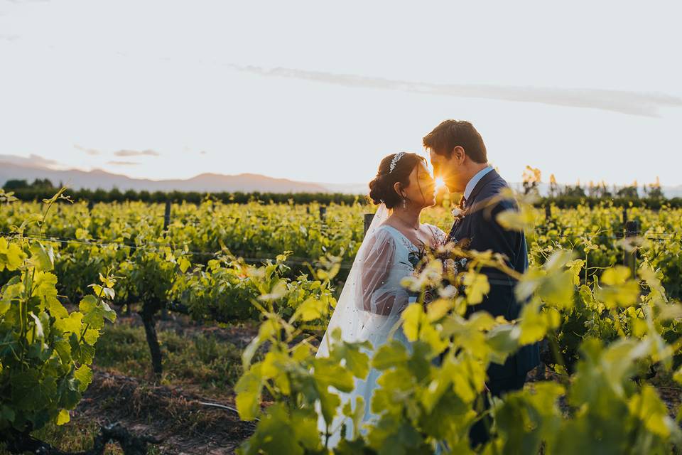 Viña La Playa Hotel & Winery Colchagua, Centros de Eventos