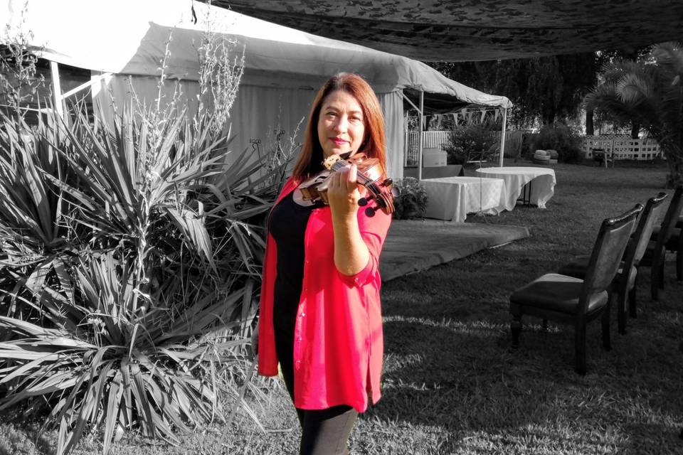 Violinista CG Mella