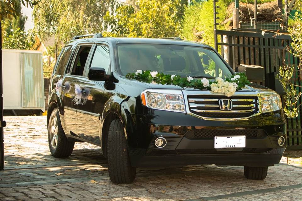 Vip Live Chile, Autos