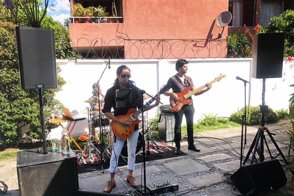 Vivepro Eventos, Música