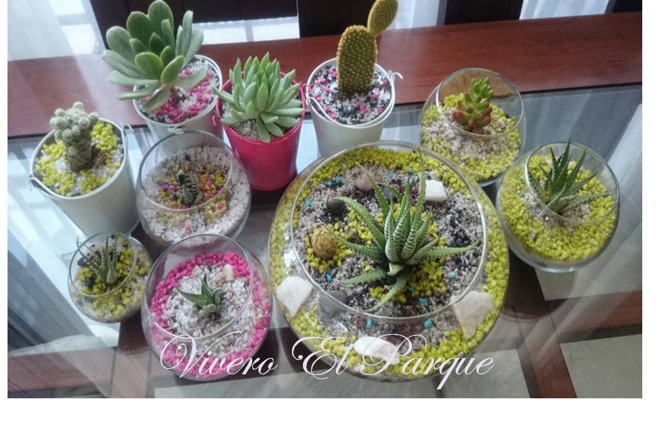Vivero El Parque, Recuerdos