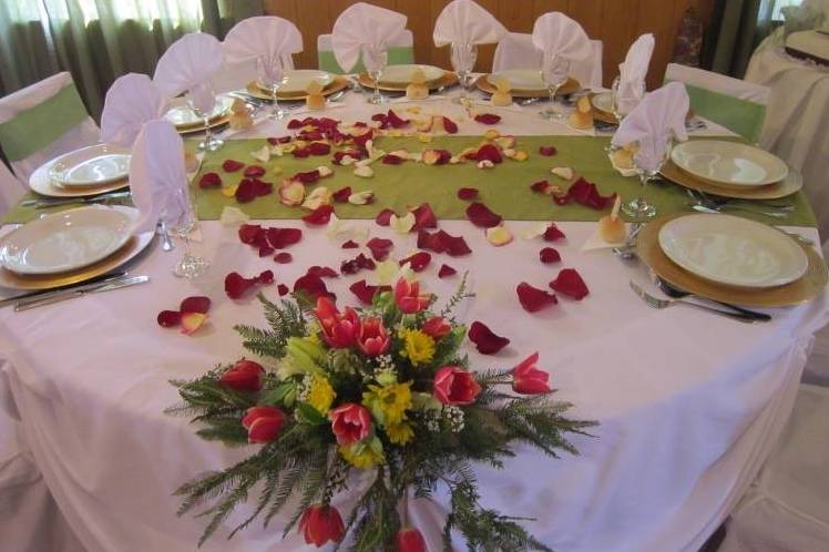Vivi Eventos