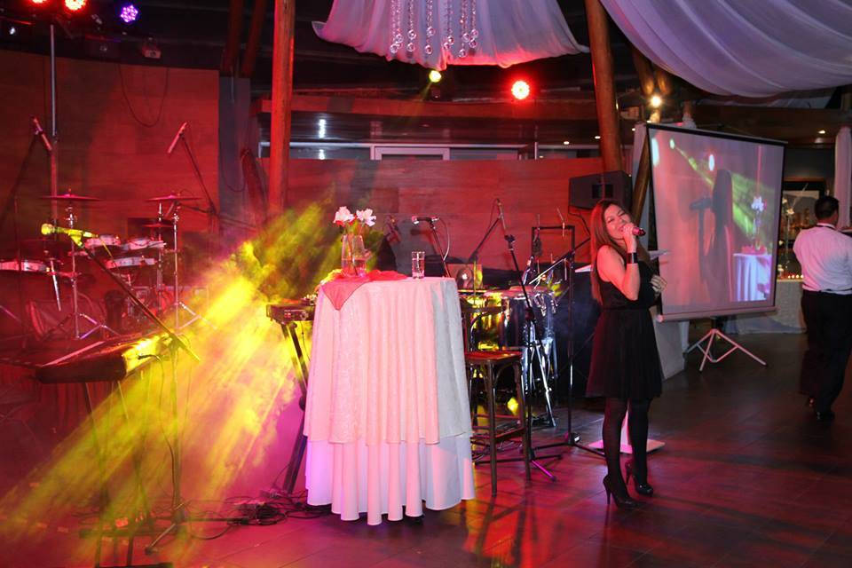 Viviana Sánchez Cantante, Música