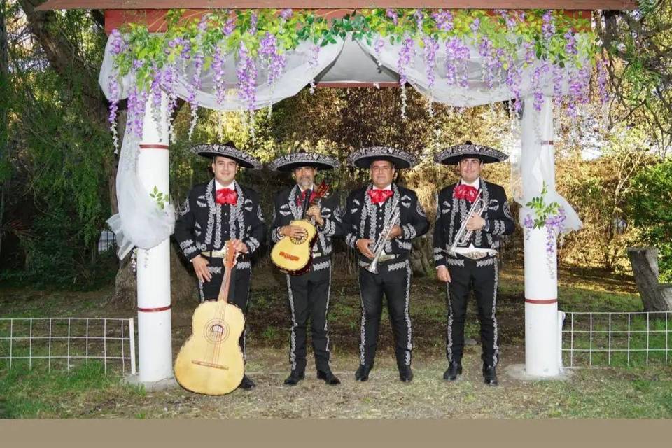 Voces de Mexico, Música