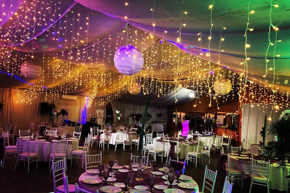 W Producciones