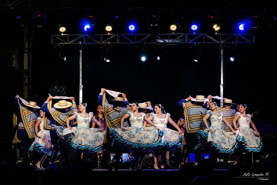 Walmapu Compañía Folklórica, Animación